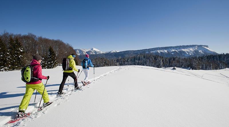 Les Chalets De Ludran Viuz-en-Sallaz 外观 照片