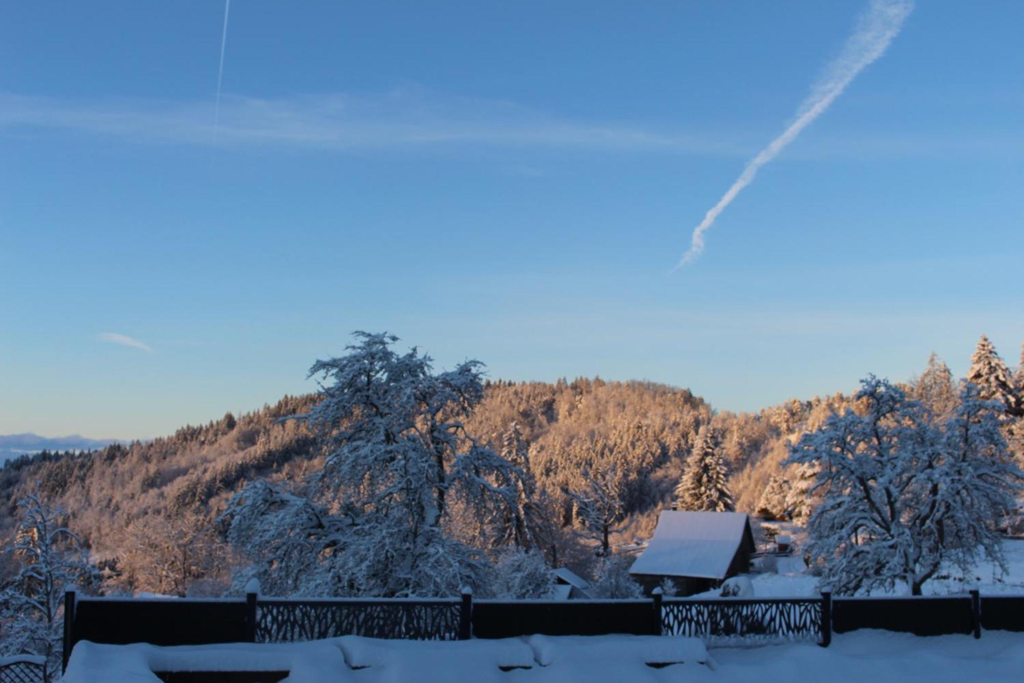 Les Chalets De Ludran Viuz-en-Sallaz 外观 照片