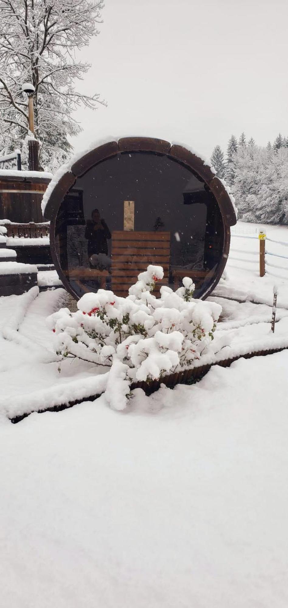 Les Chalets De Ludran Viuz-en-Sallaz 外观 照片