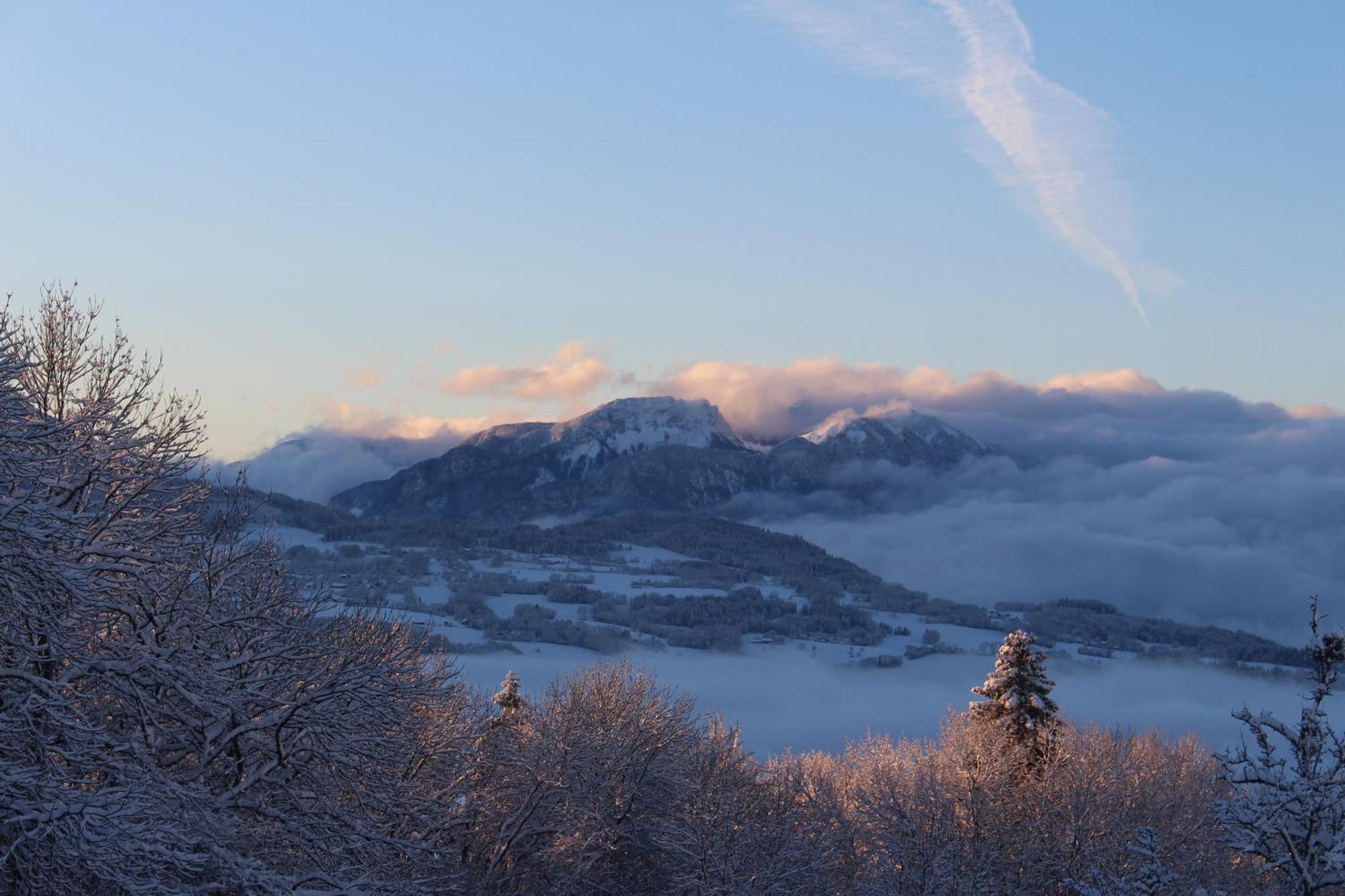 Les Chalets De Ludran Viuz-en-Sallaz 外观 照片