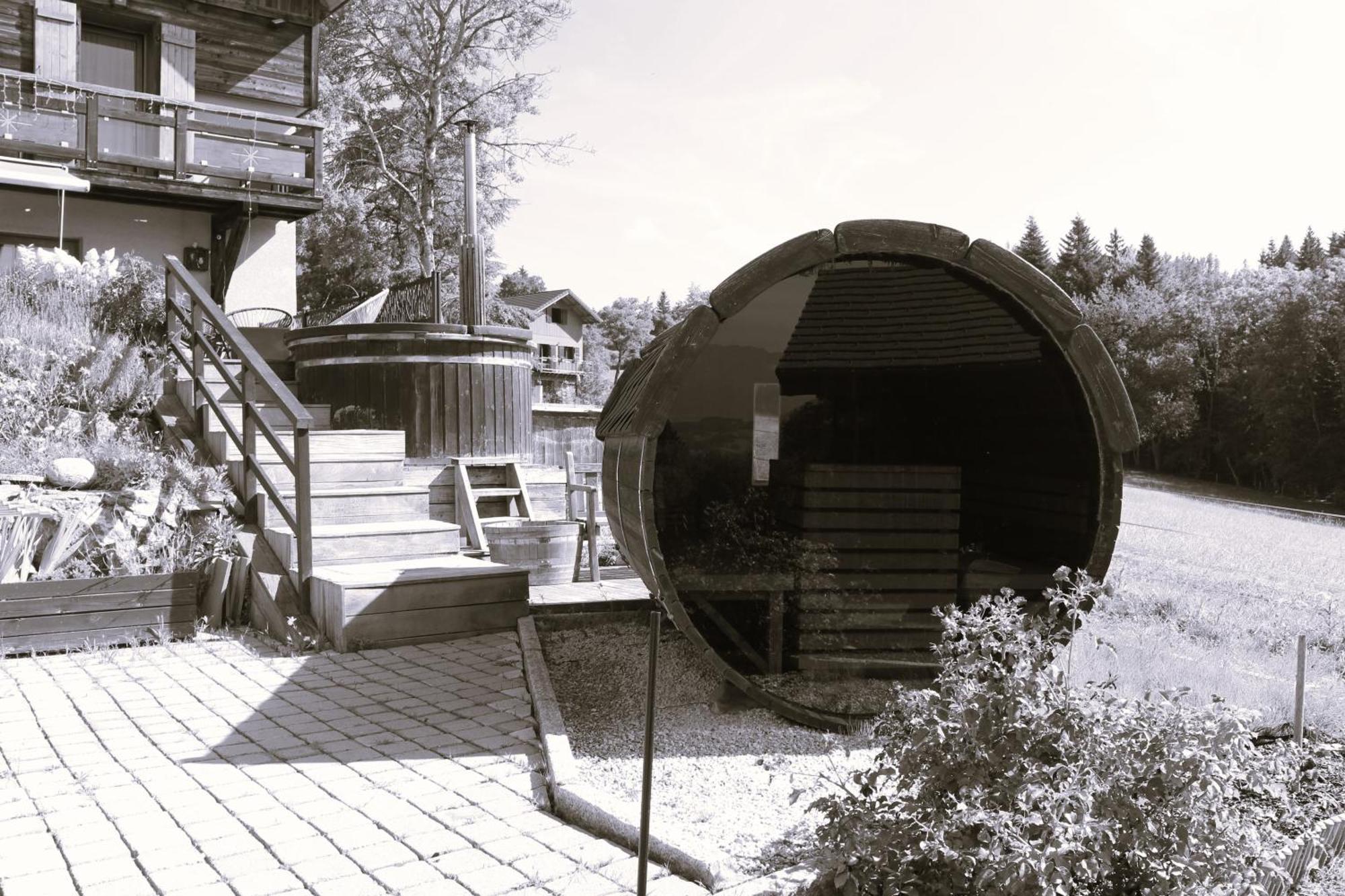 Les Chalets De Ludran Viuz-en-Sallaz 外观 照片