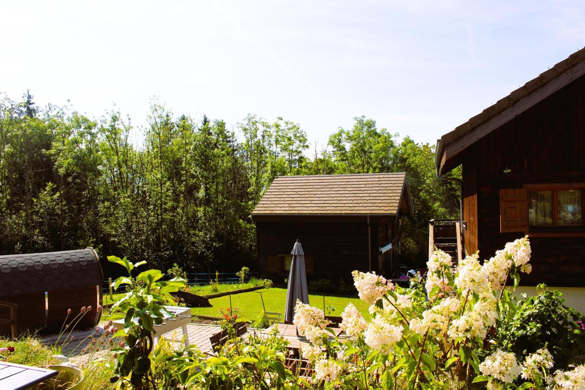 Les Chalets De Ludran Viuz-en-Sallaz 外观 照片